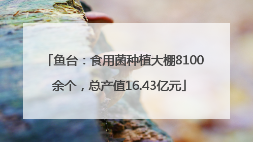 鱼台：食用菌种植大棚8100余个，总产值16.43亿元