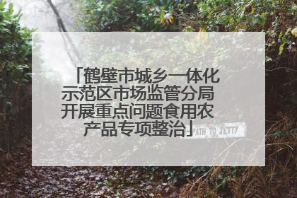 鹤壁市城乡一体化示范区市场监管分局开展重点问题食用农产品专项整治