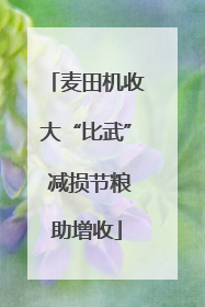 麦田机收大“比武” 减损节粮助增收