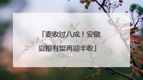 麦收过八成！安徽夏粮有望再迎丰收
