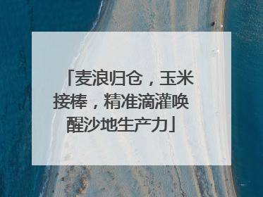 麦浪归仓，玉米接棒，精准滴灌唤醒沙地生产力