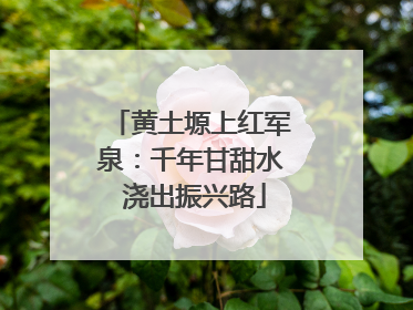 黄土塬上红军泉：千年甘甜水 浇出振兴路