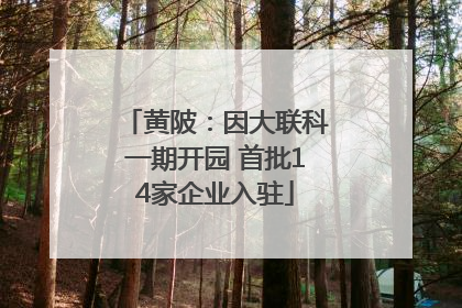黄陂：因大联科一期开园 首批14家企业入驻