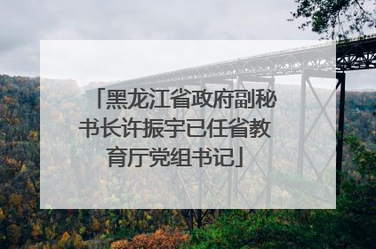 黑龙江省政府副秘书长许振宇已任省教育厅党组书记