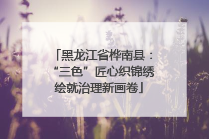 黑龙江省桦南县：“三色”匠心织锦绣 绘就治理新画卷