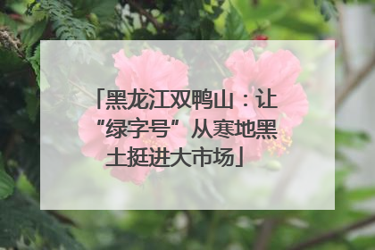 黑龙江双鸭山：让“绿字号”从寒地黑土挺进大市场