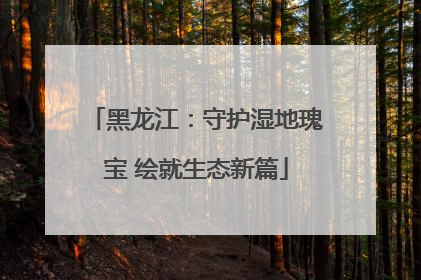 黑龙江：守护湿地瑰宝 绘就生态新篇