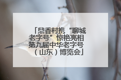 鼎香村携“聊城老字号”惊艳亮相第九届中华老字号（山东）博览会