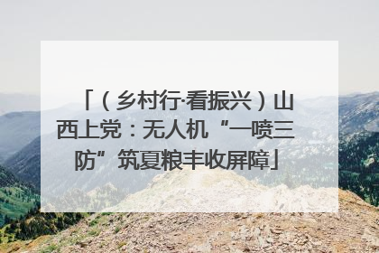 （乡村行·看振兴）山西上党：无人机“一喷三防”筑夏粮丰收屏障