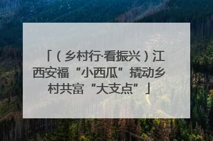 （乡村行·看振兴）江西安福“小西瓜”撬动乡村共富“大支点”