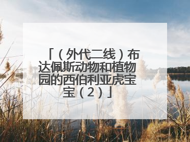 （外代二线）布达佩斯动物和植物园的西伯利亚虎宝宝（2）