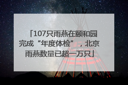 107只雨燕在颐和园完成“年度体检”，北京雨燕数量已超一万只