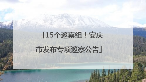 15个巡察组！安庆市发布专项巡察公告