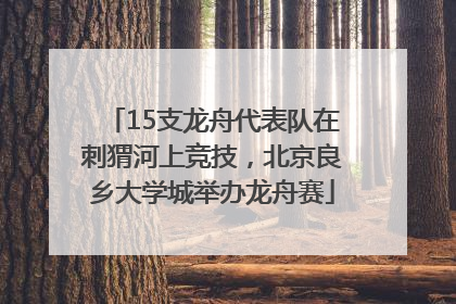 15支龙舟代表队在刺猬河上竞技，北京良乡大学城举办龙舟赛