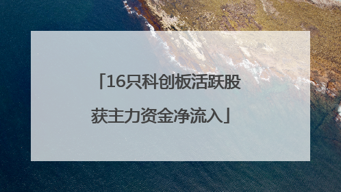16只科创板活跃股获主力资金净流入