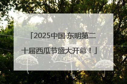 2025中国·东明第二十届西瓜节盛大开幕！