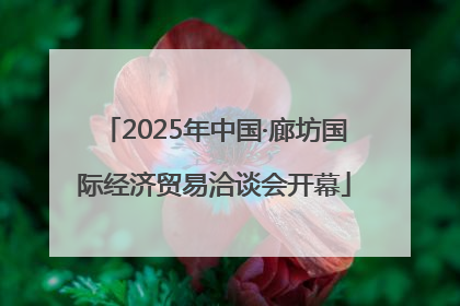 2025年中国·廊坊国际经济贸易洽谈会开幕