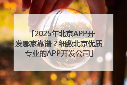 2025年北京APP开发哪家靠谱？细数北京优质专业的APP开发公司