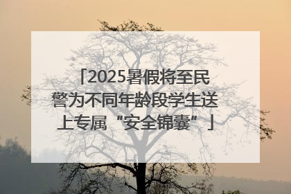 2025暑假将至民警为不同年龄段学生送上专属“安全锦囊”