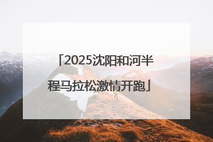 2025沈阳和河半程马拉松激情开跑