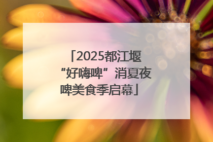 2025都江堰“好嗨啤”消夏夜啤美食季启幕