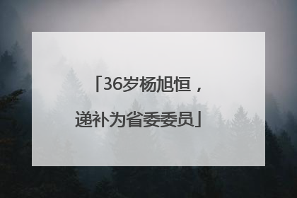 36岁杨旭恒，递补为省委委员