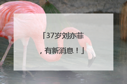 37岁刘亦菲，有新消息！
