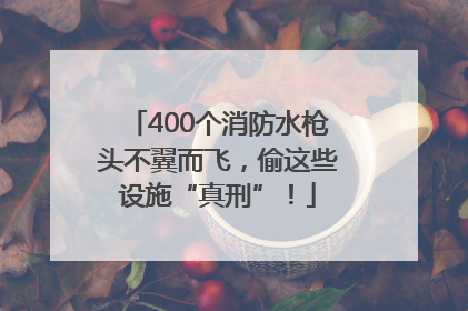 400个消防水枪头不翼而飞，偷这些设施“真刑”！