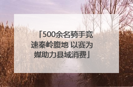 500余名骑手竞速秦岭腹地 以赛为媒助力县域消费