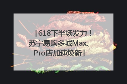 618下半场发力！苏宁易购多城Max、Pro店加速焕新