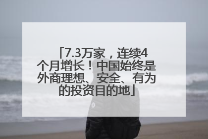 7.3万家，连续4个月增长！中国始终是外商理想、安全、有为的投资目的地