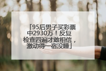 95后男子买彩票中2930万！反复检查四遍才敢相信，激动得一宿没睡