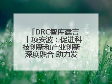 DRC智库建言丨项安波：促进科技创新和产业创新深度融合 助力发展新质生产力