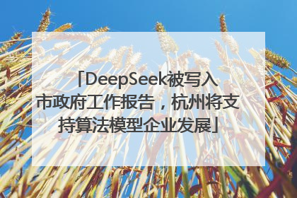 DeepSeek被写入市政府工作报告，杭州将支持算法模型企业发展