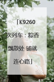 K9260次列车：粽香飘散处 铺就连心路